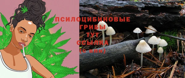 хмурый Коряжма